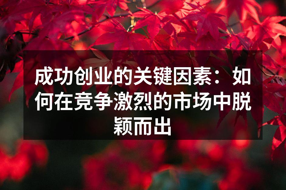 成功创业的关键因素：如何在竞争激烈的市场中脱颖而出